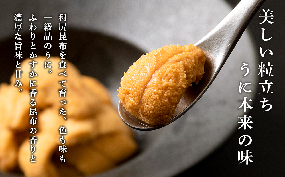 【2026年6月より発送】白利尻 生うに お試しミニざる ムラサキウ二 60ｇ 海鮮 海産物 魚介類 うに 冷蔵