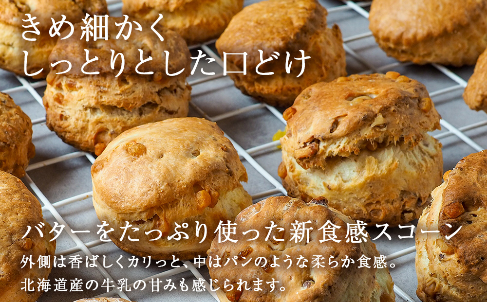 スコーン 5種 10個 セット 北海道産 各2個 ミルク チョコ メープル ギフト