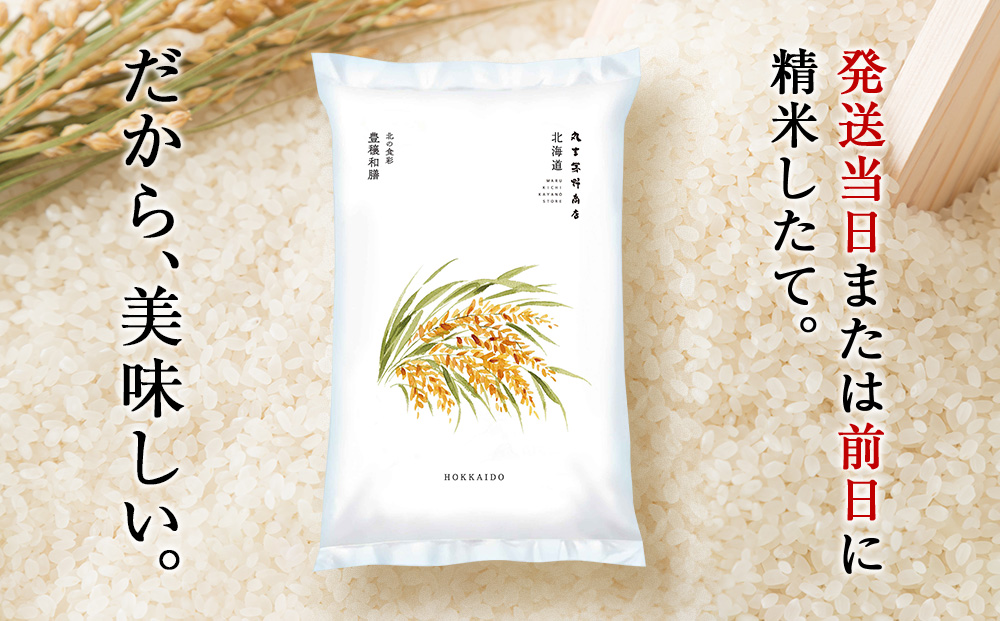 【12月23日決済分まで年内発送】《令和7年産 新米》北海道産ななつぼし 10kg（通常パック5kg×1袋・真空パック5kg×1袋）