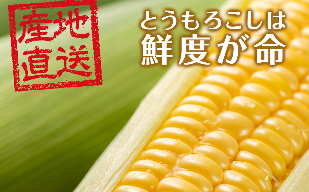【先行予約】北海道 千歳産 とうもろこし 1本430ｇ以上 25本 恵味シリーズの中からおまかせで1種類 野菜 トウモロコシ 甘い 旬 夏 BBQ ＜ふぁーむあんざわ＞