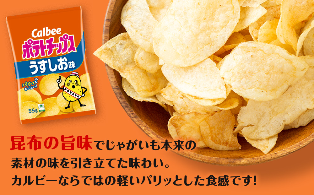 【定期便5カ月】カルビーポテトチップス 2種セット うすしお・コンソメパンチ 各8袋 《千歳工場製造》