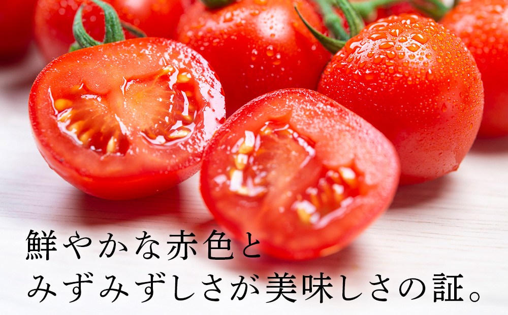 【2026年発送】〈萬福農研〉産地直送！ミニトマト(プレミアムルビー) 1kg