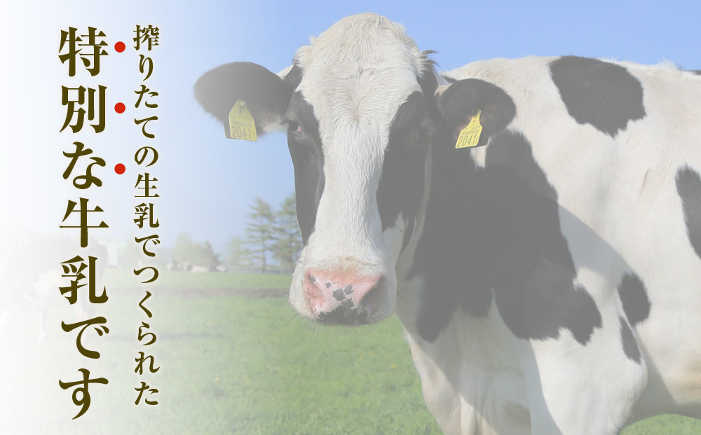 北海道細澤牧場ノンホモ牛乳　900ml×2本