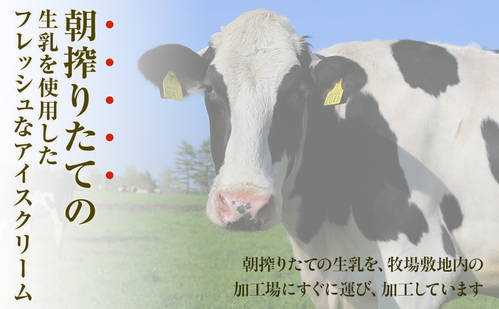 細澤牧場アイス 15個