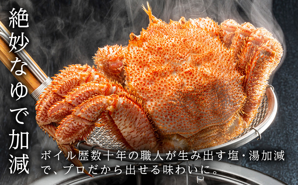 北海道産【朝ゆで】毛ガニ（550g前後）2尾 期間限定！≪かにのマルマサ≫ かに 毛がに カニ 千歳 北海道 海鮮