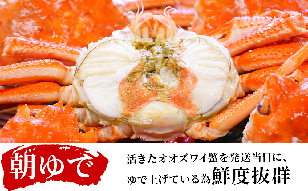 北海道産【 朝ゆで 】訳ありオオズワイガニ 800g詰 道産品 オオズワイ カニ 蟹 規格外品 不揃い 訳アリ 訳有り