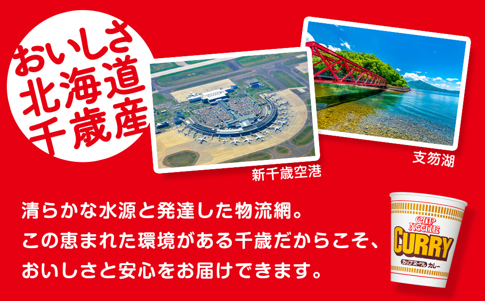10営業日以内発送 日清 カレーヌ－ドル★1箱（20食入）