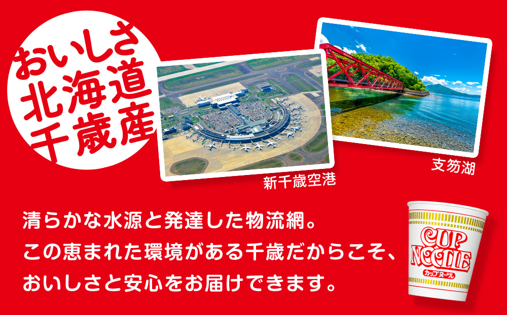 【頒布会12か月】日清　カップヌ－ドルシリーズ20個入