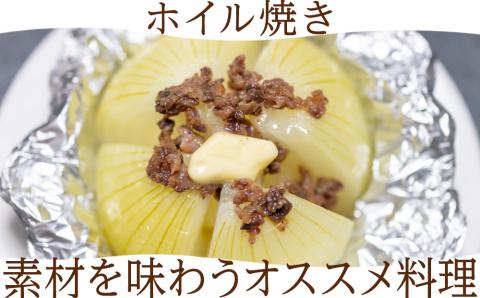 玉ねぎ 10kg 無選別サイズ 北海道 千歳市産 甘い たまねぎ 野菜 冷蔵 タマネギ 【假屋フードブリッジ】