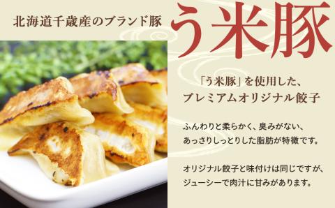 こだわりの手打ち餃子★天のびろく 3種セット＜手打ち餃子のびろく＞