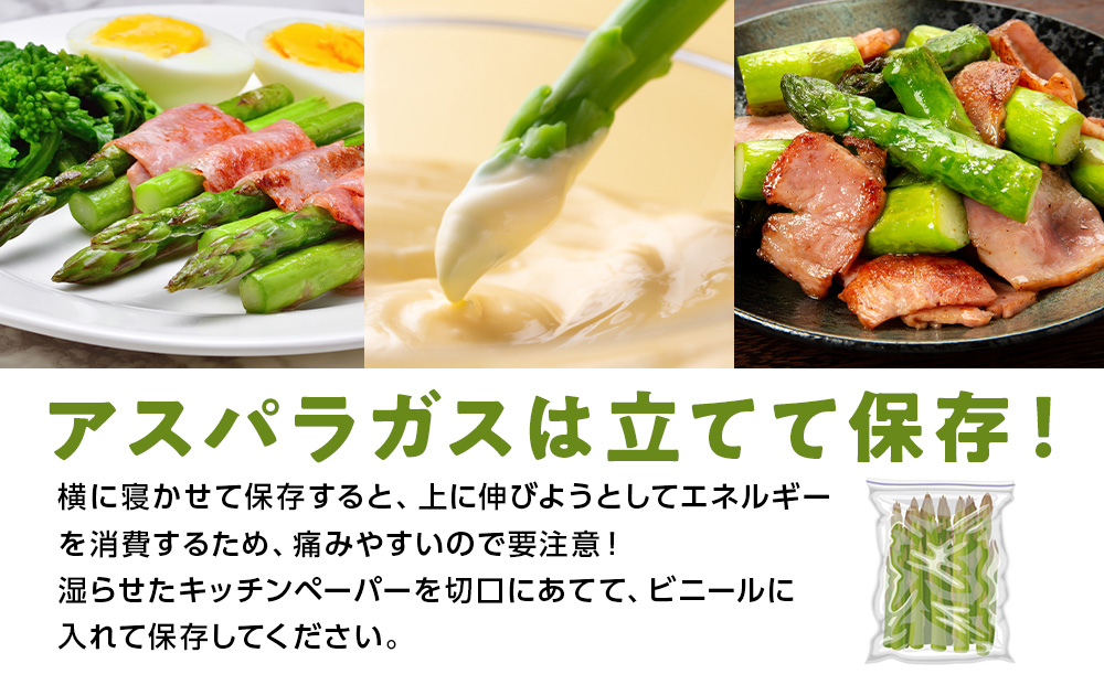 【 2026年 春発送 】 グリーンアスパラ 1kg M～2L アスパラ アスパラガス 野菜 千歳 北海道