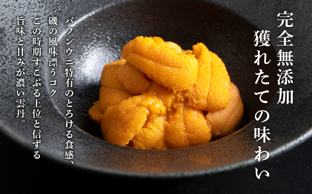 北海道　北方四島　生うに　花籠盛「錦」