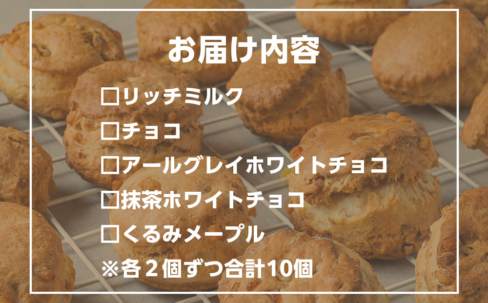 スコーン 5種 10個 セット 北海道産 各2個 ミルク チョコ メープル ギフト