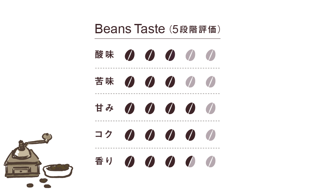 EZO COFFEE エゾコーヒー(100g)×3パック