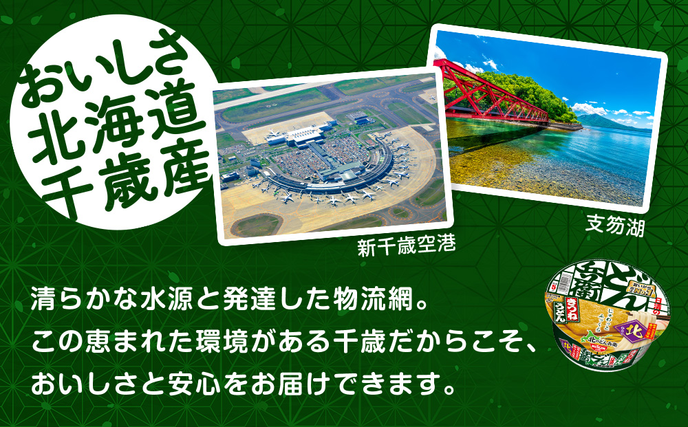 【定期便6カ月】日清 北のどん兵衛 きつねうどん [北海道仕様]12個
