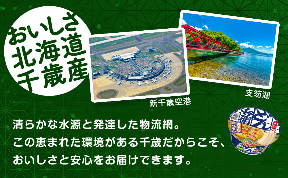【定期便12カ月】日清 北のどん兵衛 天ぷらうどん [北海道仕様]12個