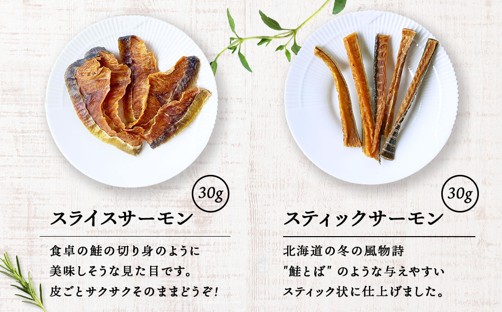 サーモン6点セット