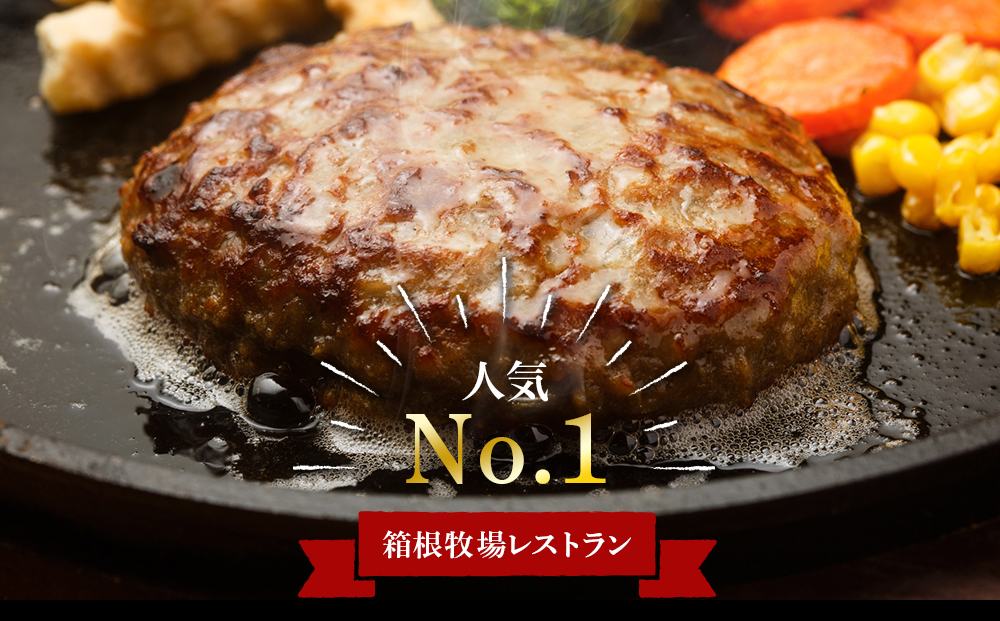 牧場手作り★オリジナルハンバーグセット〈箱根牧場〉