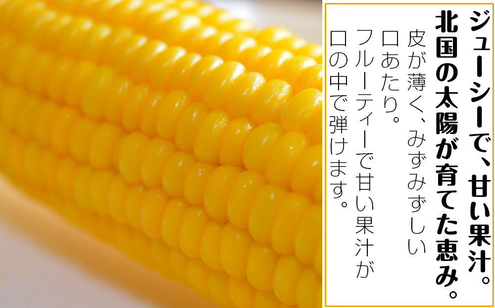 【先行予約】北海道 千歳産 とうもろこし 1本430ｇ以上 25本 恵味シリーズの中からおまかせで1種類 野菜 トウモロコシ 甘い 旬 夏 BBQ ＜ふぁーむあんざわ＞