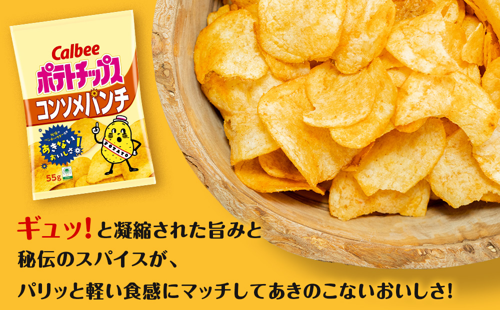 【定期便3カ月】カルビーポテトチップス 2種セット コンソメパンチ・のりしお 各8袋 《千歳工場製造》