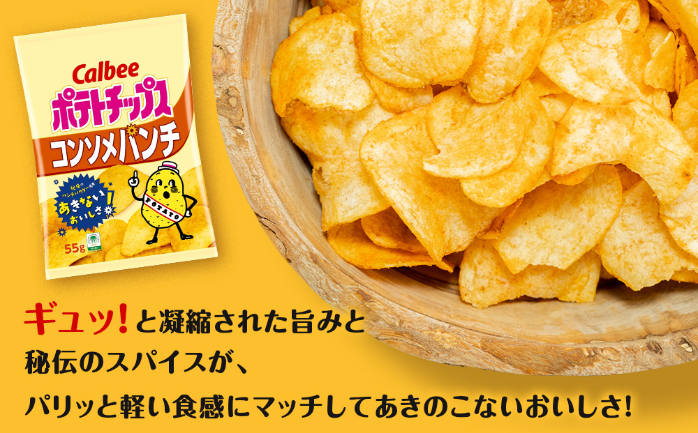 【定期便5カ月】カルビーポテトチップス 3種セット 合計15袋 《千歳工場製造》