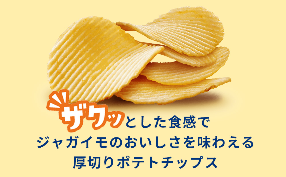【定期便5カ月】ザ厚切りのための コンソメ味 24袋 2箱 カルビー ポテトチップス 《千歳工場製造》