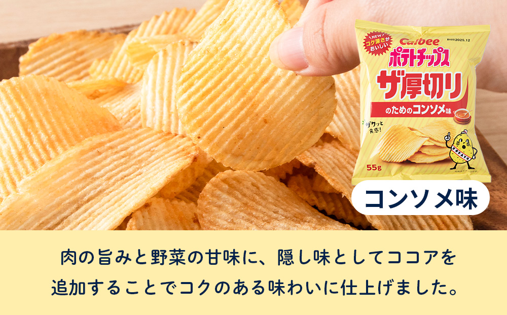 【定期便5カ月】ザ厚切りのための ２種セット うすしお・コンソメ 各6袋 カルビー ポテトチップス 《千歳工場製造》