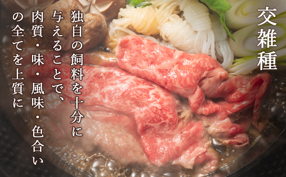 【ANA限定】すき焼き用 牛肉 （５００ｇ）＆ ワイン セット 北海道