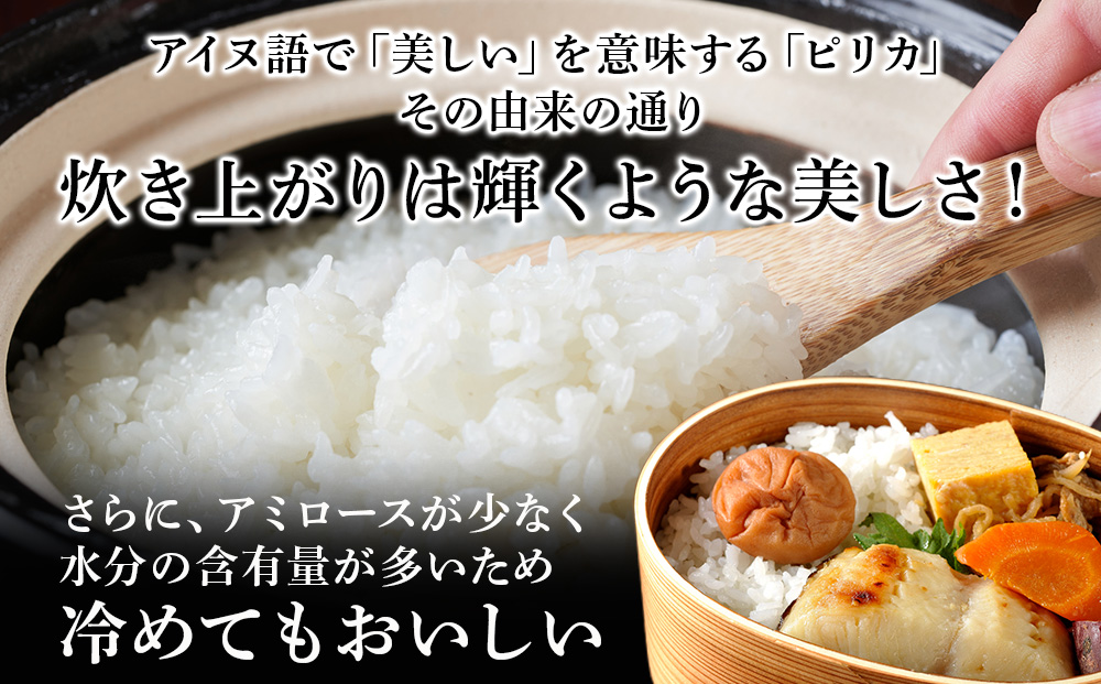 北海道産 ゆめぴりか 5kg【 JA道央 】 米 こめ コメ 千歳 北海道