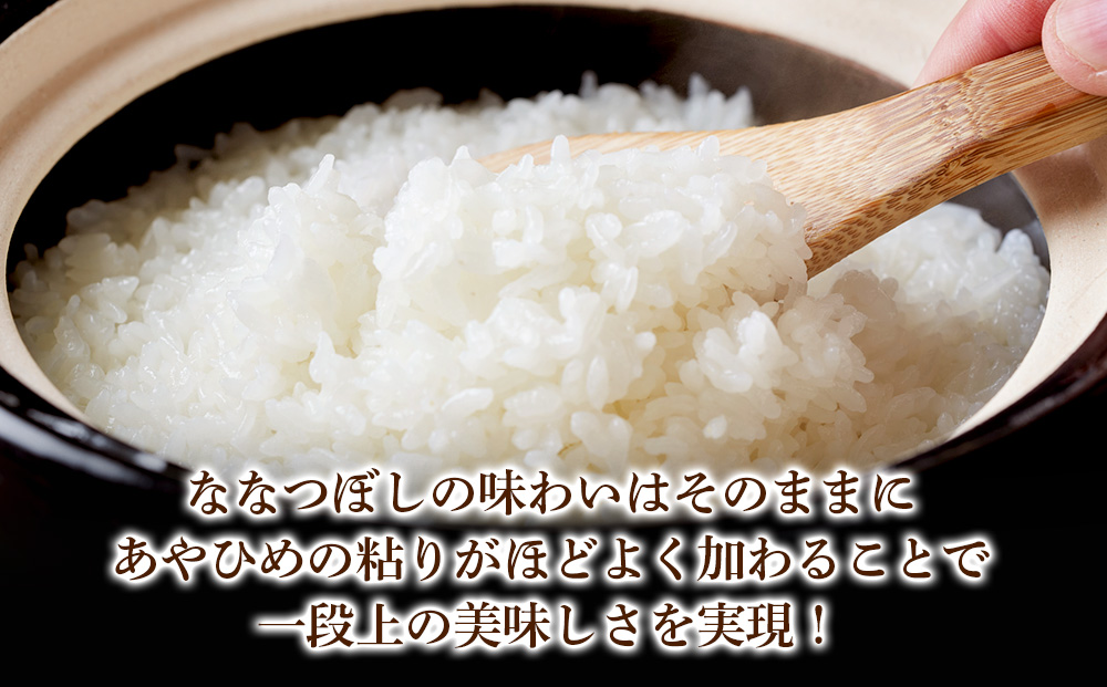 【 無洗米 】北海道産 う米蔵 5kg × 2袋 米 こめ コメ 千歳 北海道