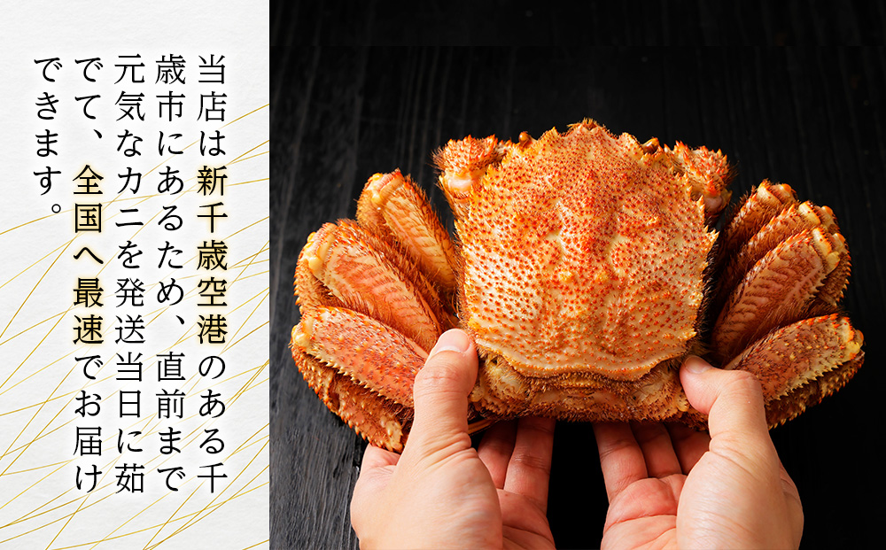 北海道産【朝ゆで】 毛ガニ （450g前後）2尾 期間限定！≪ かにのマルマサ ≫ かに 毛がに カニ 千歳 北海道 海鮮