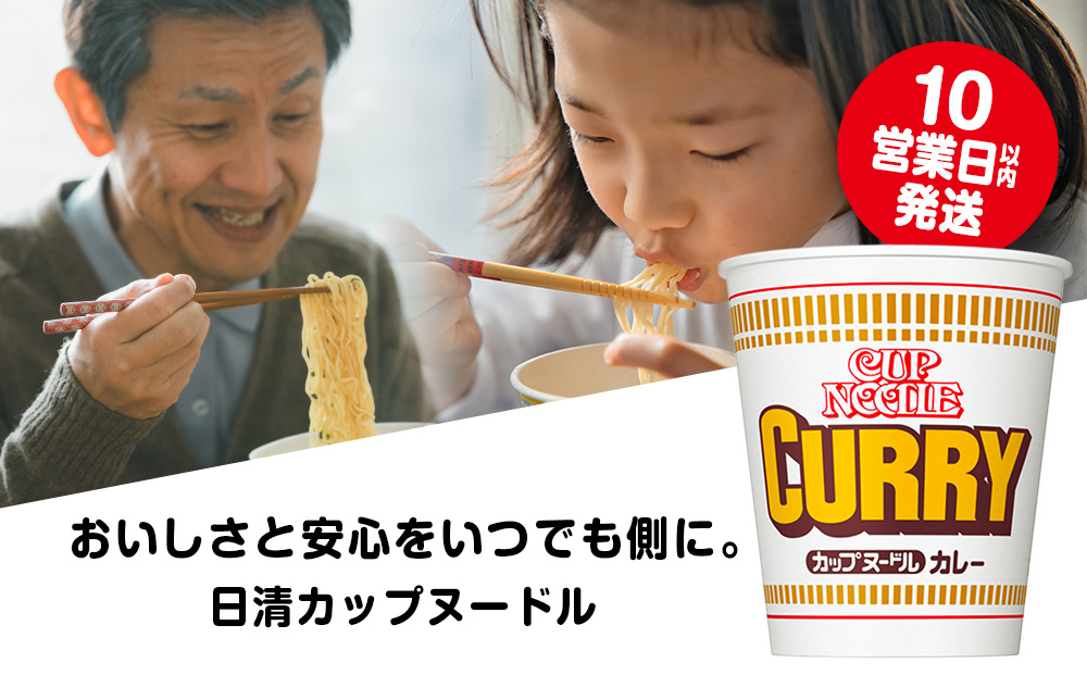 10営業日以内発送 日清 カレーヌ－ドル★1箱（20食入）