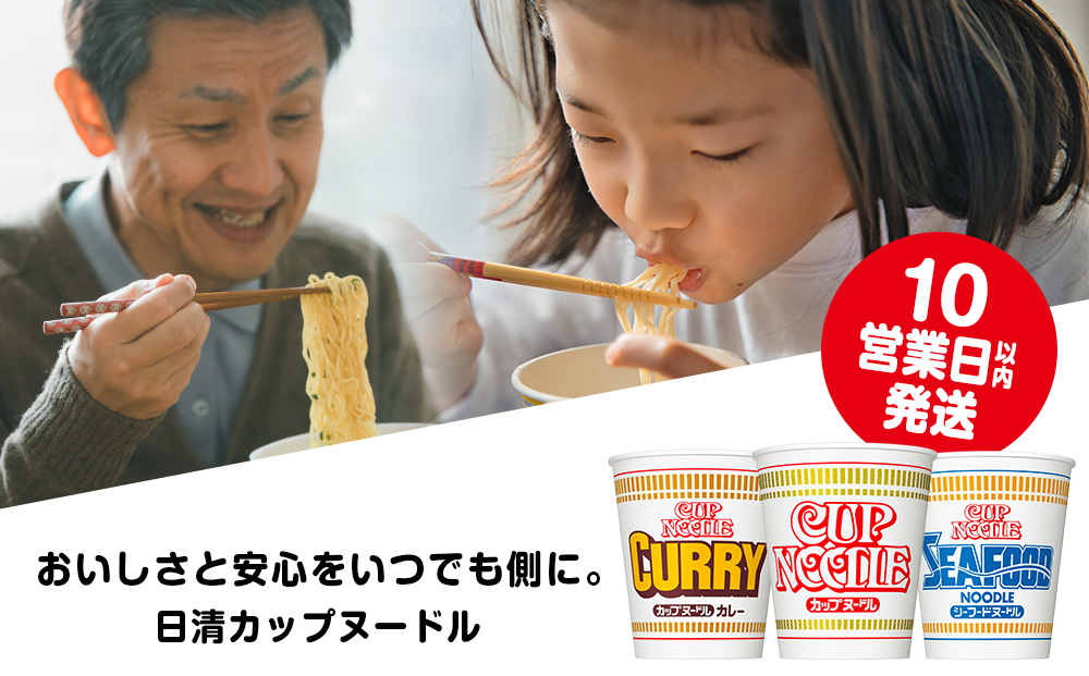 10営業日以内発送 日清ヌードル3種セット 各1箱（20食）合計3箱