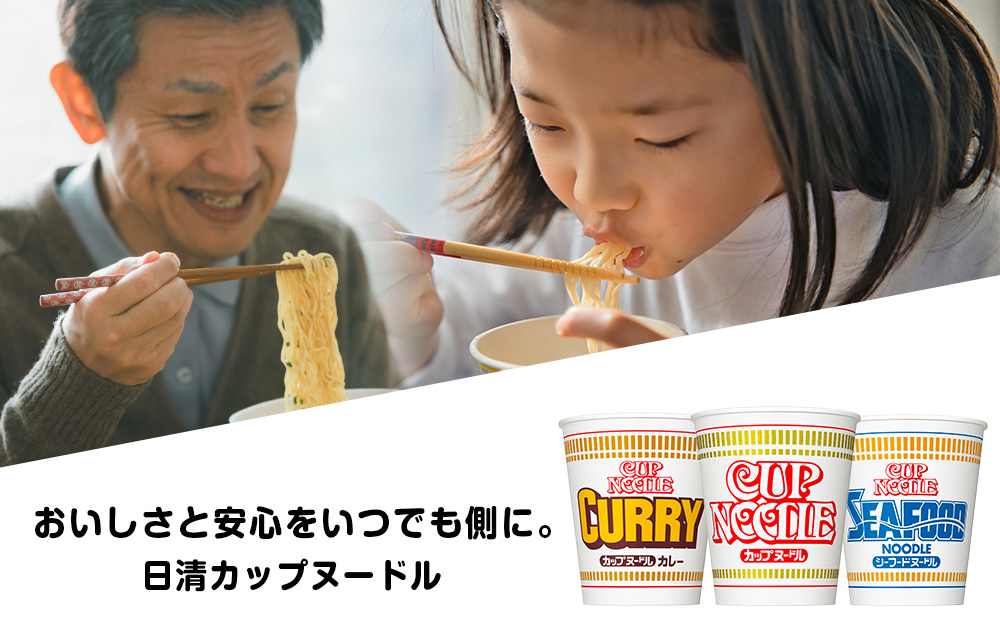 【頒布会12か月】日清　カップヌ－ドルシリーズ20個入