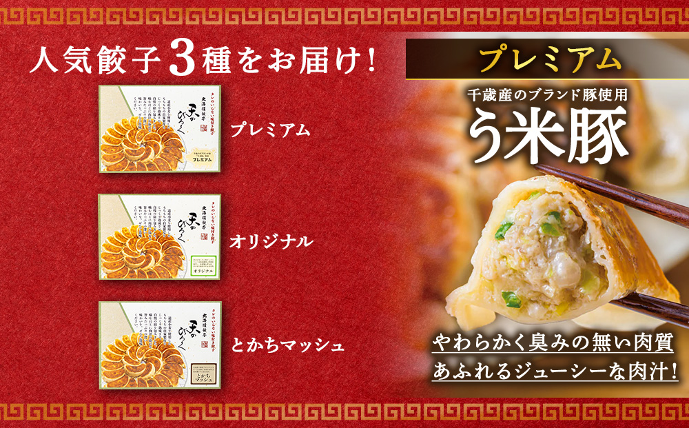 北海道餃子★天のびろく 3種セット＜北海道餃子天のびろく＞
