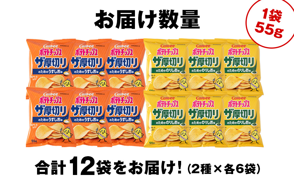 ザ厚切りのための ２種セット うすしお・のりしお 各6袋 カルビー ポテトチップス 《千歳工場製造》