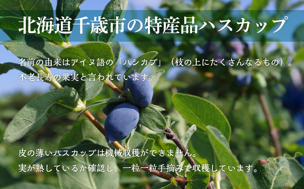 千歳ワイナリー ハスカップスイート720ml×3本＜ギフト箱入＞