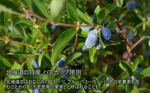 クッキー ジャム ハスカップ チョコレート 6個×2箱セット ギフト かわいい 《北海道千歳市 もりもと》