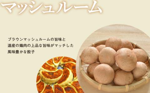 こだわりの手打ち餃子★天のびろく 3種セット＜手打ち餃子のびろく＞