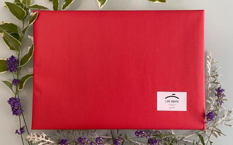 【ギフト用】《北海道産》無添加ドライフルーツ ～イチゴ×ブルーベリー×リンゴ～