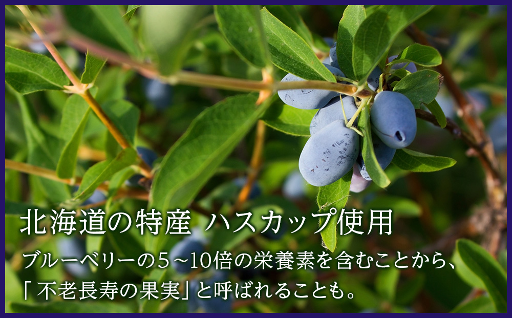 ハスカップジュエリー 15個入《北海道千歳市 もりもと》