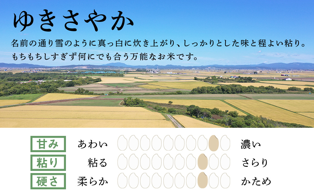 【12月23日決済分まで年内発送】《令和7年産 新米》北海道産ゆきさやか10kg(通常パック5kg×2袋)