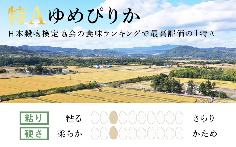 【定期便12ヶ月・上旬発送】《令和7年産 新米》北海道産ゆめぴりか 10kg(通常パック5kg×2袋)