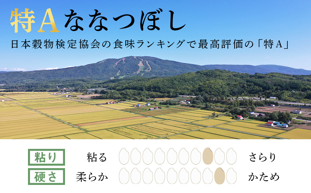 【定期便12ヶ月・上旬発送】《令和7年産 新米》北海道産ななつぼし 10kg（通常パック5kg×2袋）