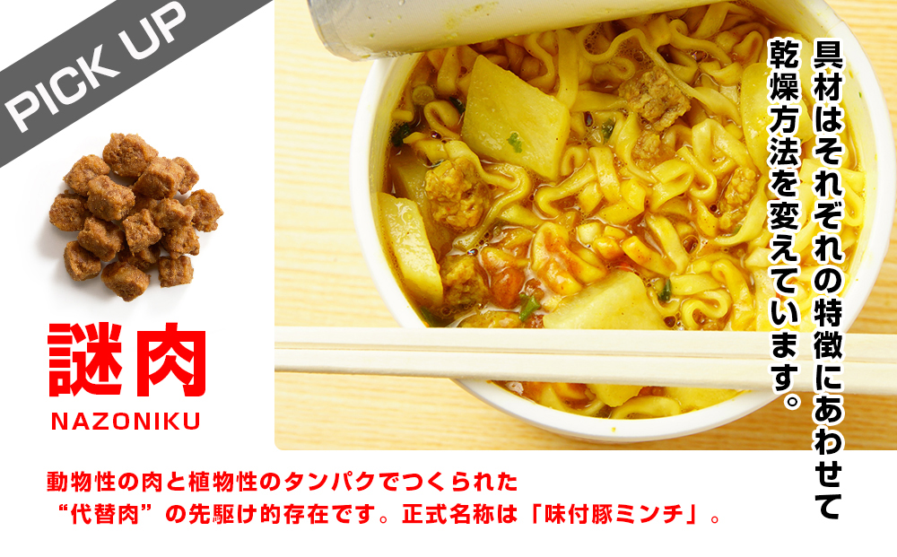 【定期便12か月】日清 カレーヌードル★1箱（20食入）