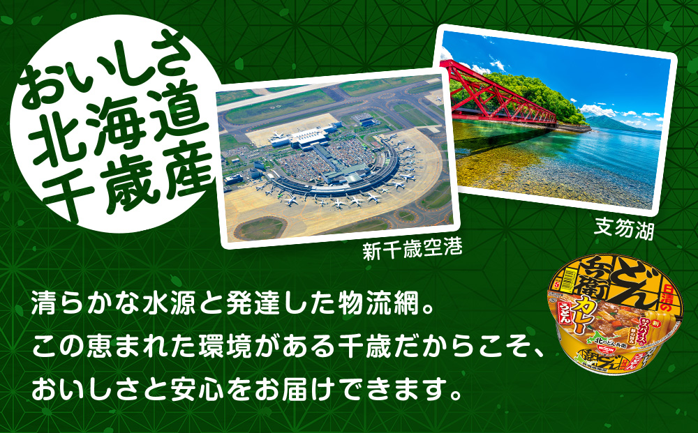 日清 北のどん兵衛 カレーうどん [北海道仕様]12個