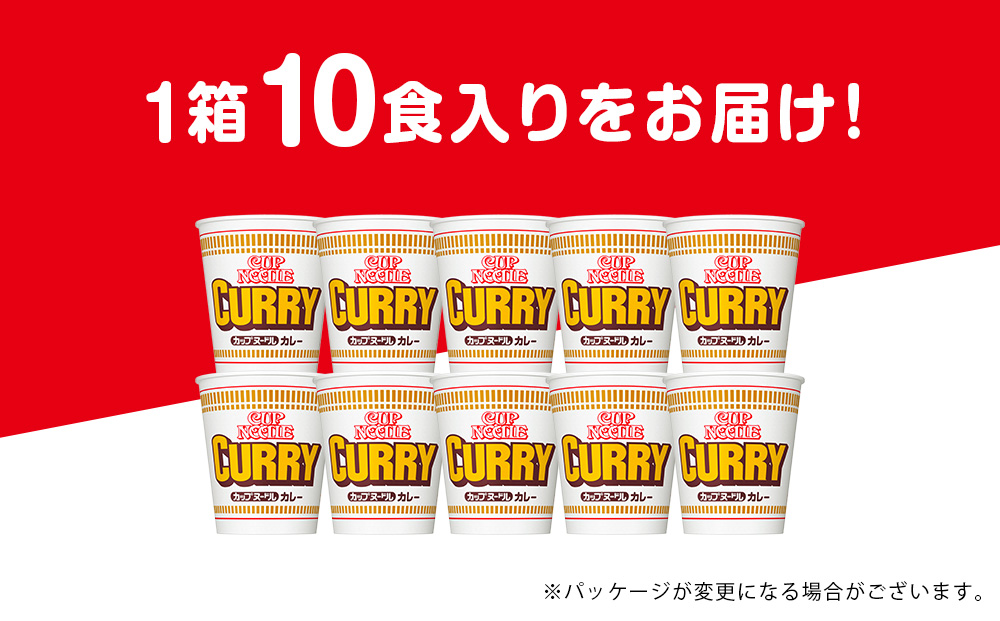 10営業日以内発送 日清 カレーヌードル 10食 ラーメン 麺 即席麺 麺類 ラーメン カップ麺 インスタントインスタント 麺類 カップラーメン
