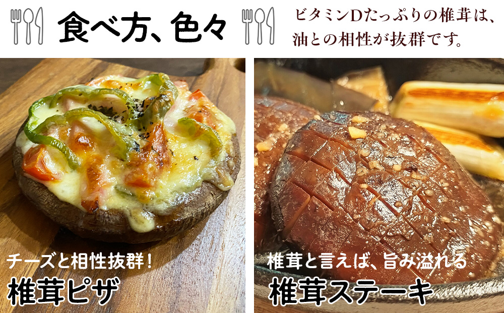 菌床 生しいたけ 900g 大きい 肉厚 シイタケ 椎茸 生椎茸 生シイタケ 千歳 北海道 《 あしだファーム 》