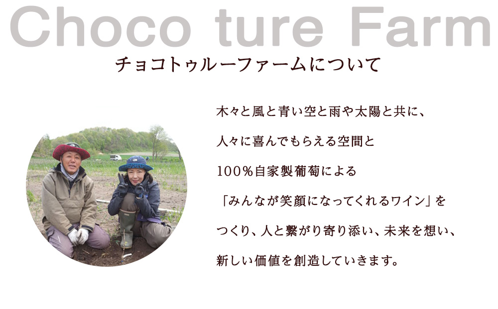 千歳ワイン2021（Chitose Wine）750ml 2本＜ ギフト箱 入 ＞　ワイン 酒 お酒 ギフト 千歳 北海道 2021