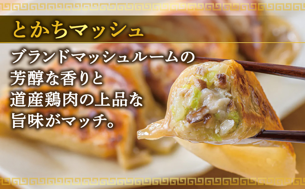 北海道餃子天のびろく お徳用 とかちマッシュ20粒入 2袋